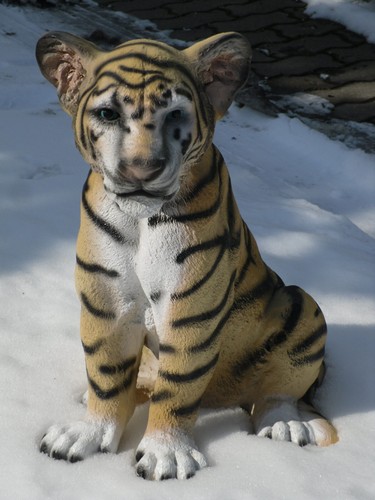 Tiger baby sitzend gross - tiger,