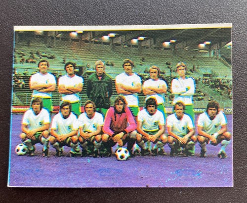 Mannschaft des fc magdeburg - mannschaft,