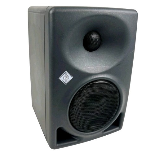 Neumann dsp aktiv - 80,