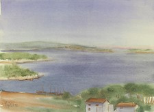 Professor Vesna Kajić-Lalić