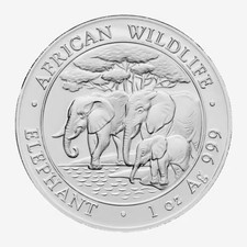 Somalia Elefant 2013 1oz