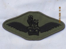 Army Air Corps,Piloten