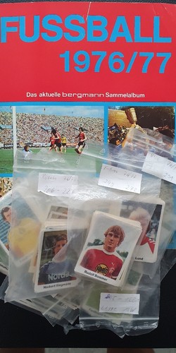 Bergmann 1 bild - ,