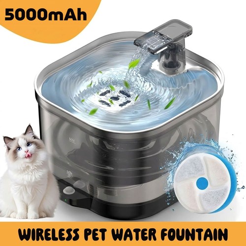 Trinkbrunnen für katze - für,