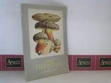Kleiner Pilzatlas. 1.Teil