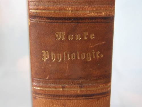 1872 grundzüge der - 1872,