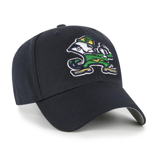 Ncaa notre dame fighting irish - notre,