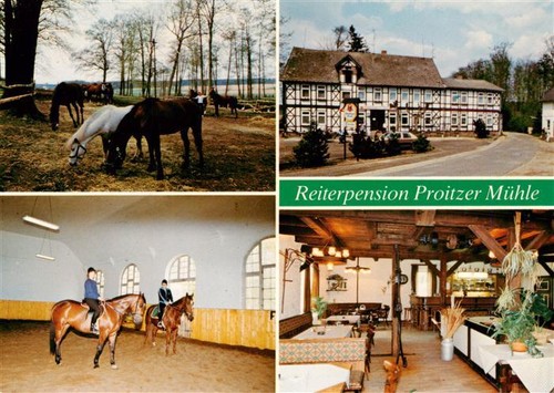 Schnega reiterpension proitzer - schnega,