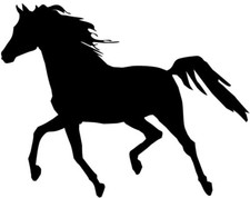 Aufkleber Pferd