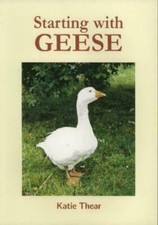 Starting with Geese (Katie