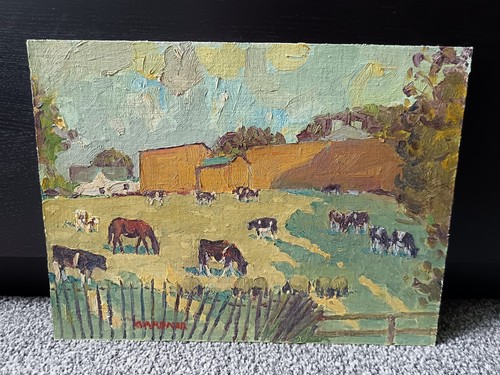 Rinder und pferd - rinder,