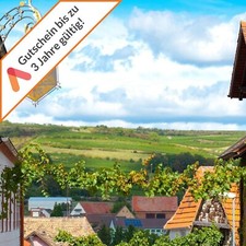 Kurzreise Pfalz Grünstadt Weinstrasse 3 Tage 2 Personen 4 Sterne Wellness Hotel 