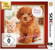 Nintendogs cats zwergpudel - nintendogs,
