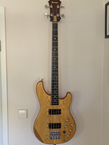 Ibanez musician bass mc900 - musician,