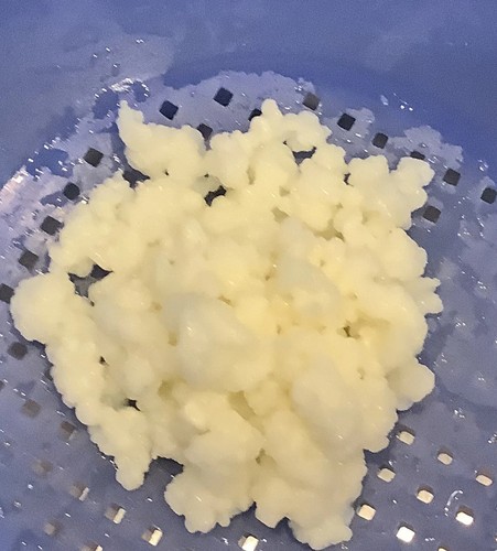 Gramm milchkefir - 15,