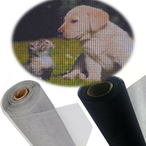 Hunde katzen netz extrem - katzen,