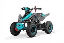 Pocketquad 49ccm Kinder Quad