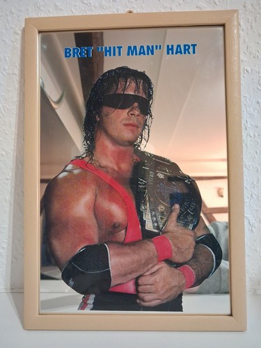 Bret hit man hart spiegel - hit,