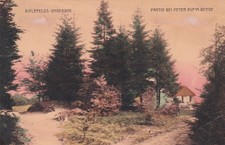 Bielefeld AK 1912 Dornberg Peter auf'm Berge Nordrhein-Westfalen 2510058