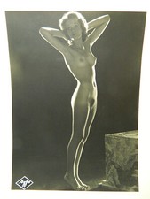 Original Fotografie Schöner