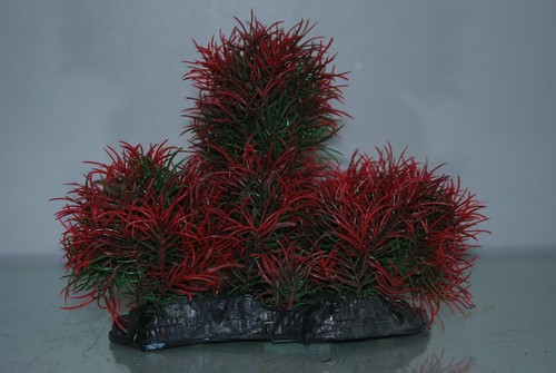 Aquarium große rot - aquarium, &