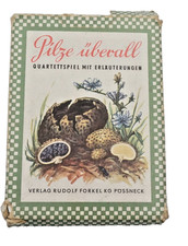 Pilze überall Quartettspiel