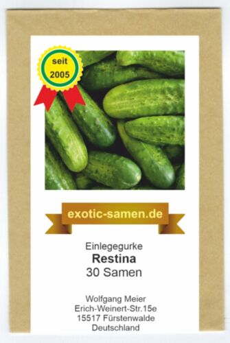 Einlegegurke restina - einlegegurke, f1
