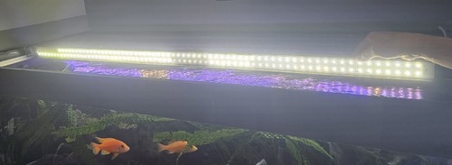 Aquariumbeleuchtung eheim - aquariumbeleuchtung,