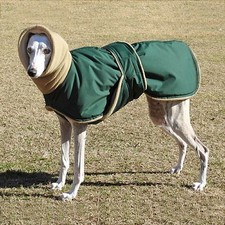 Für Windhund Greyhound