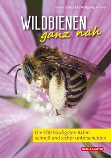 Wildbienen ganz nah - :, 100