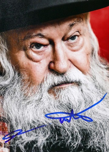 Hermann nitsch portrait - hermann, nitsch,
