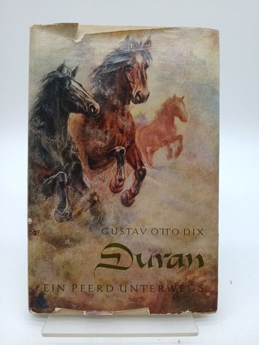 Duran ein pferd unterwegs - duran,