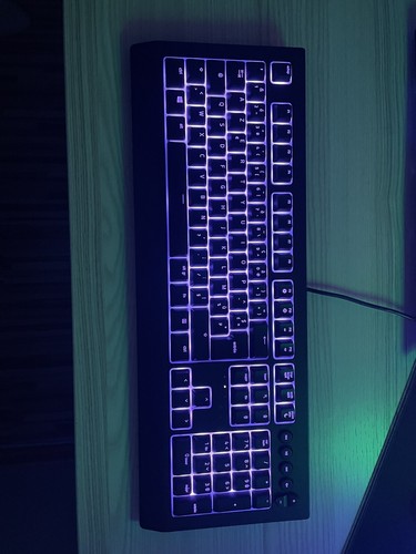 Razer tastatur - razer,