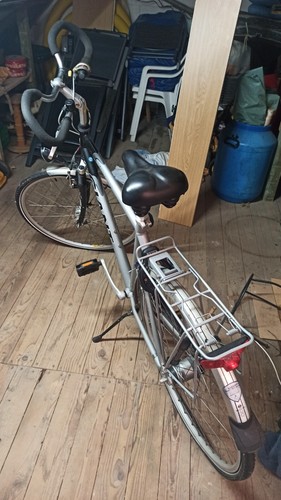 Herren trekkigrad gigant - , gigant,