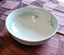 1 Schüssel Sommerfarn Von