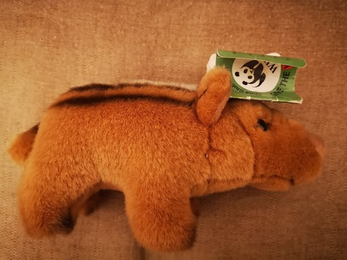 Wwf anna club - wwf,