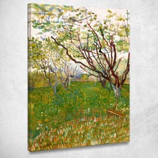 Der blühende Obstgarten