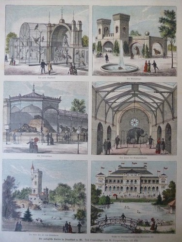 Kolorierter holzstich der - kolorierter,