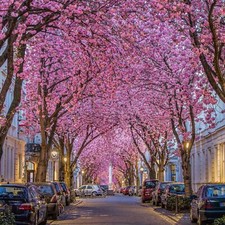 Kurzurlaub Bonn | Hotelgutschein 2 Personen 2 Nächte + F | Städtetrip günstig