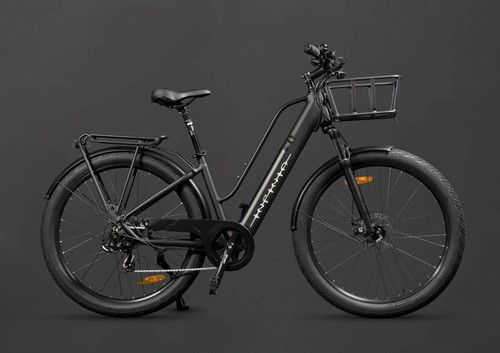 Infinia bike batterie - e-bike,
