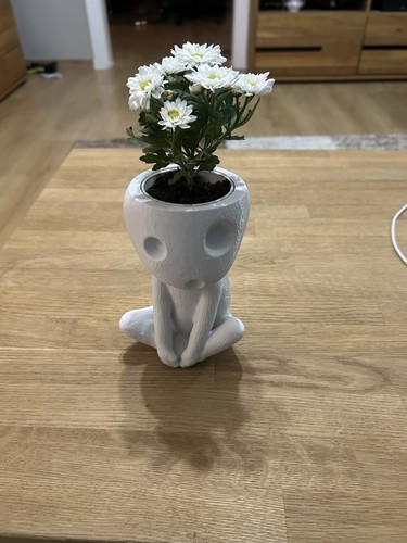 Studio ghibli kodama - studio,