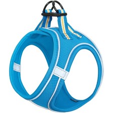 Verstellbares Hundegeschirr