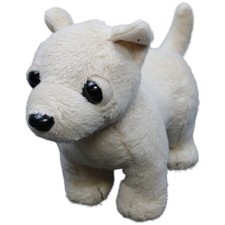 Simba Chi Chi Love, Chihuahua