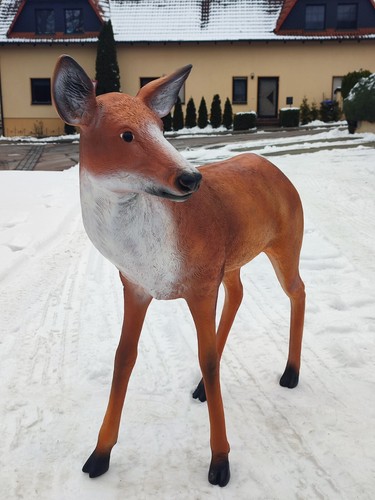 Reh lebensgroß garten deko - reh,