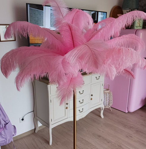 Kare stehlampe pink - kare, federn