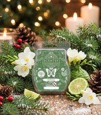Scentsy SOTM Dez. 25 "Iced