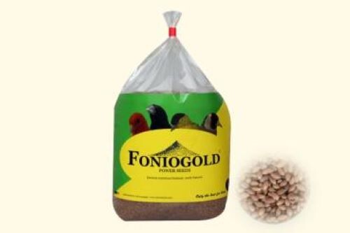 Foniogold fonio 1kg - foniogold,