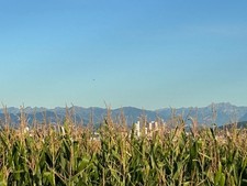 Race chip chiptuning für VW Arteon  Bj.19  2,0 tdi. 190 ps +35 ps+105 Nm