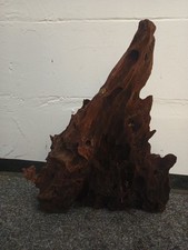 Mangroven Aquarium Aquarien