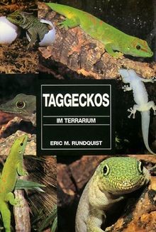 Taggeckos terrarium von - taggeckos,